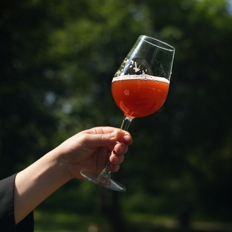 Putojanti arbata JUBILIEJINĖ, 330ml