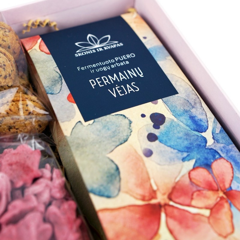 Rinkinys "Permainų vėjas"