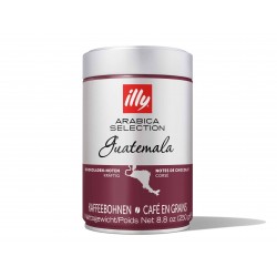 Kavos pupelės illy ARABICA SELECTION GUATEMALA, 250 g