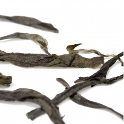 PU-ERH sheng arbata SAULĖJE DŽIOVINTA