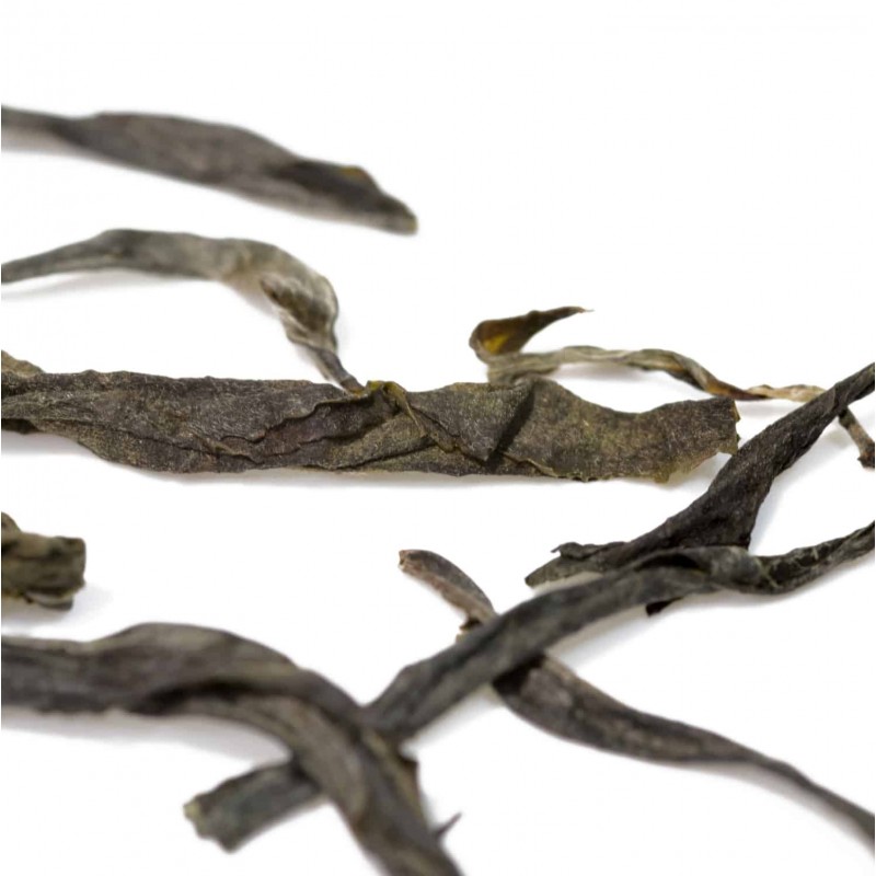 PU-ERH sheng arbata SAULĖJE DŽIOVINTA